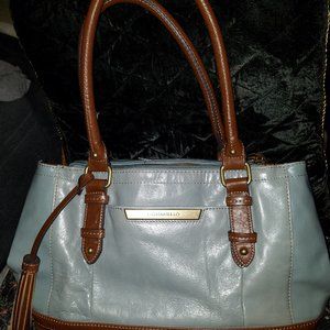 Tignanello Light Blue Leather Handbag